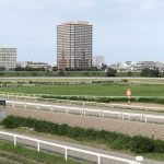 競馬は暴露王などで予想することが大切