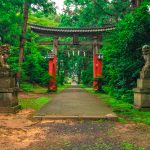 日本の神社のトップ神社本庁の意外な事実